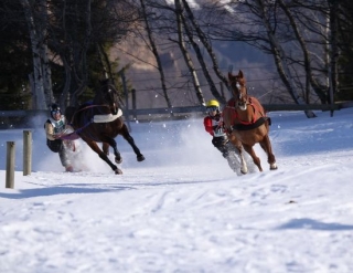  Clases y competición de ski joering
